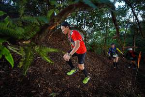 BIB: 
                            <button type="button" onclick="openModal(21866388)" class="btn btn-primary btn-sm float-right btn-popup" data-toggle="modal" data-target=".modal-high-quality">
                        <i class="fas fa-shopping-cart"></i> Add to Cart
                    </button>
                                            <button type="button" onclick="isThisMe(21866388, true)" class="btn btn-success btn-sm float-right btn-popup btn-isme hidden" data-toggle="tooltip" data-placement="bottom" title="นี่คือรูปของคุณใช่ไหม คลิกที่นี่เพื่อเอาเข้าอัลบั้ม">
                        <i class="fas fa-plus"></i> Add to album
                    </button>
                    <button type="button" onclick="isThisMe(21866388, false)" class="btn btn-warning btn-sm float-right btn-popup btn-isnotme hidden">
                        <i class="fas fa-ban"></i> Remove from album
                    </button>