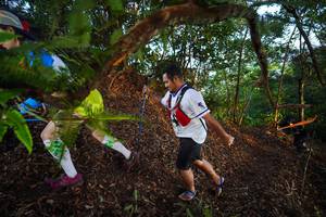 BIB: 
                            <button type="button" onclick="openModal(21868306)" class="btn btn-primary btn-sm float-right btn-popup" data-toggle="modal" data-target=".modal-high-quality">
                        <i class="fas fa-shopping-cart"></i> Add to Cart
                    </button>
                                            <button type="button" onclick="isThisMe(21868306, true)" class="btn btn-success btn-sm float-right btn-popup btn-isme hidden" data-toggle="tooltip" data-placement="bottom" title="นี่คือรูปของคุณใช่ไหม คลิกที่นี่เพื่อเอาเข้าอัลบั้ม">
                        <i class="fas fa-plus"></i> Add to album
                    </button>
                    <button type="button" onclick="isThisMe(21868306, false)" class="btn btn-warning btn-sm float-right btn-popup btn-isnotme hidden">
                        <i class="fas fa-ban"></i> Remove from album
                    </button>