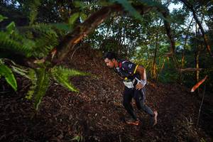 BIB: 194
                            <button type="button" onclick="openModal(21865301)" class="btn btn-primary btn-sm float-right btn-popup" data-toggle="modal" data-target=".modal-high-quality">
                        <i class="fas fa-shopping-cart"></i> Add to Cart
                    </button>
                                            <button type="button" onclick="isThisMe(21865301, true)" class="btn btn-success btn-sm float-right btn-popup btn-isme hidden" data-toggle="tooltip" data-placement="bottom" title="นี่คือรูปของคุณใช่ไหม คลิกที่นี่เพื่อเอาเข้าอัลบั้ม">
                        <i class="fas fa-plus"></i> Add to album
                    </button>
                    <button type="button" onclick="isThisMe(21865301, false)" class="btn btn-warning btn-sm float-right btn-popup btn-isnotme hidden">
                        <i class="fas fa-ban"></i> Remove from album
                    </button>