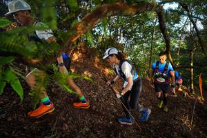 BIB: 
                            <button type="button" onclick="openModal(21871031)" class="btn btn-primary btn-sm float-right btn-popup" data-toggle="modal" data-target=".modal-high-quality">
                        <i class="fas fa-shopping-cart"></i> Add to Cart
                    </button>
                                            <button type="button" onclick="isThisMe(21871031, true)" class="btn btn-success btn-sm float-right btn-popup btn-isme hidden" data-toggle="tooltip" data-placement="bottom" title="นี่คือรูปของคุณใช่ไหม คลิกที่นี่เพื่อเอาเข้าอัลบั้ม">
                        <i class="fas fa-plus"></i> Add to album
                    </button>
                    <button type="button" onclick="isThisMe(21871031, false)" class="btn btn-warning btn-sm float-right btn-popup btn-isnotme hidden">
                        <i class="fas fa-ban"></i> Remove from album
                    </button>