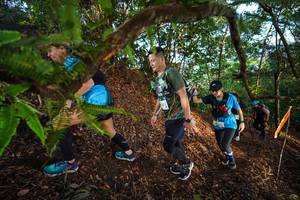 BIB: 
                            <button type="button" onclick="openModal(21879328)" class="btn btn-primary btn-sm float-right btn-popup" data-toggle="modal" data-target=".modal-high-quality">
                        <i class="fas fa-shopping-cart"></i> Add to Cart
                    </button>
                                            <button type="button" onclick="isThisMe(21879328, true)" class="btn btn-success btn-sm float-right btn-popup btn-isme hidden" data-toggle="tooltip" data-placement="bottom" title="นี่คือรูปของคุณใช่ไหม คลิกที่นี่เพื่อเอาเข้าอัลบั้ม">
                        <i class="fas fa-plus"></i> Add to album
                    </button>
                    <button type="button" onclick="isThisMe(21879328, false)" class="btn btn-warning btn-sm float-right btn-popup btn-isnotme hidden">
                        <i class="fas fa-ban"></i> Remove from album
                    </button>