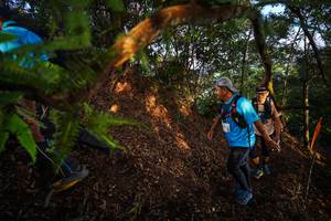 BIB: 
                            <button type="button" onclick="openModal(21870303)" class="btn btn-primary btn-sm float-right btn-popup" data-toggle="modal" data-target=".modal-high-quality">
                        <i class="fas fa-shopping-cart"></i> Add to Cart
                    </button>
                                            <button type="button" onclick="isThisMe(21870303, true)" class="btn btn-success btn-sm float-right btn-popup btn-isme hidden" data-toggle="tooltip" data-placement="bottom" title="นี่คือรูปของคุณใช่ไหม คลิกที่นี่เพื่อเอาเข้าอัลบั้ม">
                        <i class="fas fa-plus"></i> Add to album
                    </button>
                    <button type="button" onclick="isThisMe(21870303, false)" class="btn btn-warning btn-sm float-right btn-popup btn-isnotme hidden">
                        <i class="fas fa-ban"></i> Remove from album
                    </button>