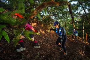 BIB: 
                            <button type="button" onclick="openModal(21871102)" class="btn btn-primary btn-sm float-right btn-popup" data-toggle="modal" data-target=".modal-high-quality">
                        <i class="fas fa-shopping-cart"></i> Add to Cart
                    </button>
                                            <button type="button" onclick="isThisMe(21871102, true)" class="btn btn-success btn-sm float-right btn-popup btn-isme hidden" data-toggle="tooltip" data-placement="bottom" title="นี่คือรูปของคุณใช่ไหม คลิกที่นี่เพื่อเอาเข้าอัลบั้ม">
                        <i class="fas fa-plus"></i> Add to album
                    </button>
                    <button type="button" onclick="isThisMe(21871102, false)" class="btn btn-warning btn-sm float-right btn-popup btn-isnotme hidden">
                        <i class="fas fa-ban"></i> Remove from album
                    </button>