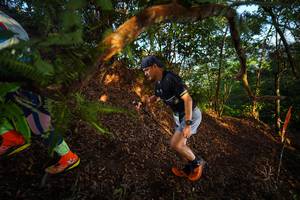 BIB: 
                            <button type="button" onclick="openModal(21870381)" class="btn btn-primary btn-sm float-right btn-popup" data-toggle="modal" data-target=".modal-high-quality">
                        <i class="fas fa-shopping-cart"></i> Add to Cart
                    </button>
                                            <button type="button" onclick="isThisMe(21870381, true)" class="btn btn-success btn-sm float-right btn-popup btn-isme hidden" data-toggle="tooltip" data-placement="bottom" title="นี่คือรูปของคุณใช่ไหม คลิกที่นี่เพื่อเอาเข้าอัลบั้ม">
                        <i class="fas fa-plus"></i> Add to album
                    </button>
                    <button type="button" onclick="isThisMe(21870381, false)" class="btn btn-warning btn-sm float-right btn-popup btn-isnotme hidden">
                        <i class="fas fa-ban"></i> Remove from album
                    </button>