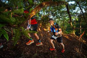 BIB: 2261
                            <button type="button" onclick="openModal(21870935)" class="btn btn-primary btn-sm float-right btn-popup" data-toggle="modal" data-target=".modal-high-quality">
                        <i class="fas fa-shopping-cart"></i> Add to Cart
                    </button>
                                            <button type="button" onclick="isThisMe(21870935, true)" class="btn btn-success btn-sm float-right btn-popup btn-isme hidden" data-toggle="tooltip" data-placement="bottom" title="นี่คือรูปของคุณใช่ไหม คลิกที่นี่เพื่อเอาเข้าอัลบั้ม">
                        <i class="fas fa-plus"></i> Add to album
                    </button>
                    <button type="button" onclick="isThisMe(21870935, false)" class="btn btn-warning btn-sm float-right btn-popup btn-isnotme hidden">
                        <i class="fas fa-ban"></i> Remove from album
                    </button>