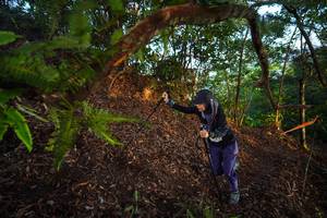 BIB: 
                            <button type="button" onclick="openModal(21868331)" class="btn btn-primary btn-sm float-right btn-popup" data-toggle="modal" data-target=".modal-high-quality">
                        <i class="fas fa-shopping-cart"></i> Add to Cart
                    </button>
                                            <button type="button" onclick="isThisMe(21868331, true)" class="btn btn-success btn-sm float-right btn-popup btn-isme hidden" data-toggle="tooltip" data-placement="bottom" title="นี่คือรูปของคุณใช่ไหม คลิกที่นี่เพื่อเอาเข้าอัลบั้ม">
                        <i class="fas fa-plus"></i> Add to album
                    </button>
                    <button type="button" onclick="isThisMe(21868331, false)" class="btn btn-warning btn-sm float-right btn-popup btn-isnotme hidden">
                        <i class="fas fa-ban"></i> Remove from album
                    </button>