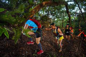 BIB: 
                            <button type="button" onclick="openModal(21868496)" class="btn btn-primary btn-sm float-right btn-popup" data-toggle="modal" data-target=".modal-high-quality">
                        <i class="fas fa-shopping-cart"></i> Add to Cart
                    </button>
                                            <button type="button" onclick="isThisMe(21868496, true)" class="btn btn-success btn-sm float-right btn-popup btn-isme hidden" data-toggle="tooltip" data-placement="bottom" title="นี่คือรูปของคุณใช่ไหม คลิกที่นี่เพื่อเอาเข้าอัลบั้ม">
                        <i class="fas fa-plus"></i> Add to album
                    </button>
                    <button type="button" onclick="isThisMe(21868496, false)" class="btn btn-warning btn-sm float-right btn-popup btn-isnotme hidden">
                        <i class="fas fa-ban"></i> Remove from album
                    </button>