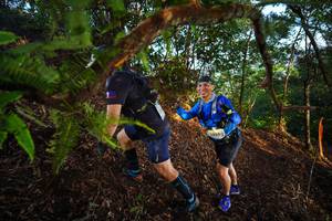 BIB: 2356, , 
                            <button type="button" onclick="openModal(21871816)" class="btn btn-primary btn-sm float-right btn-popup" data-toggle="modal" data-target=".modal-high-quality">
                        <i class="fas fa-shopping-cart"></i> Add to Cart
                    </button>
                                            <button type="button" onclick="isThisMe(21871816, true)" class="btn btn-success btn-sm float-right btn-popup btn-isme hidden" data-toggle="tooltip" data-placement="bottom" title="นี่คือรูปของคุณใช่ไหม คลิกที่นี่เพื่อเอาเข้าอัลบั้ม">
                        <i class="fas fa-plus"></i> Add to album
                    </button>
                    <button type="button" onclick="isThisMe(21871816, false)" class="btn btn-warning btn-sm float-right btn-popup btn-isnotme hidden">
                        <i class="fas fa-ban"></i> Remove from album
                    </button>