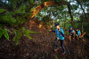 BIB: 
                            <button type="button" onclick="openModal(21869645)" class="btn btn-primary btn-sm float-right btn-popup" data-toggle="modal" data-target=".modal-high-quality">
                        <i class="fas fa-shopping-cart"></i> Add to Cart
                    </button>
                                            <button type="button" onclick="isThisMe(21869645, true)" class="btn btn-success btn-sm float-right btn-popup btn-isme hidden" data-toggle="tooltip" data-placement="bottom" title="นี่คือรูปของคุณใช่ไหม คลิกที่นี่เพื่อเอาเข้าอัลบั้ม">
                        <i class="fas fa-plus"></i> Add to album
                    </button>
                    <button type="button" onclick="isThisMe(21869645, false)" class="btn btn-warning btn-sm float-right btn-popup btn-isnotme hidden">
                        <i class="fas fa-ban"></i> Remove from album
                    </button>