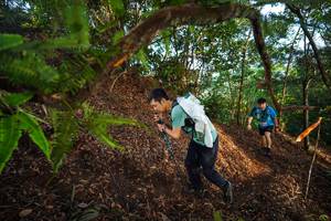 BIB: 
                            <button type="button" onclick="openModal(21879851)" class="btn btn-primary btn-sm float-right btn-popup" data-toggle="modal" data-target=".modal-high-quality">
                        <i class="fas fa-shopping-cart"></i> Add to Cart
                    </button>
                                            <button type="button" onclick="isThisMe(21879851, true)" class="btn btn-success btn-sm float-right btn-popup btn-isme hidden" data-toggle="tooltip" data-placement="bottom" title="นี่คือรูปของคุณใช่ไหม คลิกที่นี่เพื่อเอาเข้าอัลบั้ม">
                        <i class="fas fa-plus"></i> Add to album
                    </button>
                    <button type="button" onclick="isThisMe(21879851, false)" class="btn btn-warning btn-sm float-right btn-popup btn-isnotme hidden">
                        <i class="fas fa-ban"></i> Remove from album
                    </button>