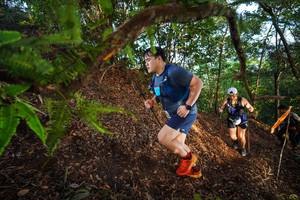 BIB: 
                            <button type="button" onclick="openModal(21879660)" class="btn btn-primary btn-sm float-right btn-popup" data-toggle="modal" data-target=".modal-high-quality">
                        <i class="fas fa-shopping-cart"></i> Add to Cart
                    </button>
                                            <button type="button" onclick="isThisMe(21879660, true)" class="btn btn-success btn-sm float-right btn-popup btn-isme hidden" data-toggle="tooltip" data-placement="bottom" title="นี่คือรูปของคุณใช่ไหม คลิกที่นี่เพื่อเอาเข้าอัลบั้ม">
                        <i class="fas fa-plus"></i> Add to album
                    </button>
                    <button type="button" onclick="isThisMe(21879660, false)" class="btn btn-warning btn-sm float-right btn-popup btn-isnotme hidden">
                        <i class="fas fa-ban"></i> Remove from album
                    </button>