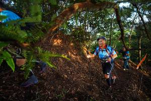 BIB: 
                            <button type="button" onclick="openModal(21871582)" class="btn btn-primary btn-sm float-right btn-popup" data-toggle="modal" data-target=".modal-high-quality">
                        <i class="fas fa-shopping-cart"></i> Add to Cart
                    </button>
                                            <button type="button" onclick="isThisMe(21871582, true)" class="btn btn-success btn-sm float-right btn-popup btn-isme hidden" data-toggle="tooltip" data-placement="bottom" title="นี่คือรูปของคุณใช่ไหม คลิกที่นี่เพื่อเอาเข้าอัลบั้ม">
                        <i class="fas fa-plus"></i> Add to album
                    </button>
                    <button type="button" onclick="isThisMe(21871582, false)" class="btn btn-warning btn-sm float-right btn-popup btn-isnotme hidden">
                        <i class="fas fa-ban"></i> Remove from album
                    </button>