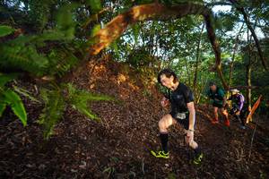 BIB: 
                            <button type="button" onclick="openModal(21869765)" class="btn btn-primary btn-sm float-right btn-popup" data-toggle="modal" data-target=".modal-high-quality">
                        <i class="fas fa-shopping-cart"></i> Add to Cart
                    </button>
                                            <button type="button" onclick="isThisMe(21869765, true)" class="btn btn-success btn-sm float-right btn-popup btn-isme hidden" data-toggle="tooltip" data-placement="bottom" title="นี่คือรูปของคุณใช่ไหม คลิกที่นี่เพื่อเอาเข้าอัลบั้ม">
                        <i class="fas fa-plus"></i> Add to album
                    </button>
                    <button type="button" onclick="isThisMe(21869765, false)" class="btn btn-warning btn-sm float-right btn-popup btn-isnotme hidden">
                        <i class="fas fa-ban"></i> Remove from album
                    </button>