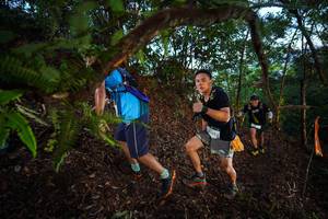 BIB: 
                            <button type="button" onclick="openModal(21866578)" class="btn btn-primary btn-sm float-right btn-popup" data-toggle="modal" data-target=".modal-high-quality">
                        <i class="fas fa-shopping-cart"></i> Add to Cart
                    </button>
                                            <button type="button" onclick="isThisMe(21866578, true)" class="btn btn-success btn-sm float-right btn-popup btn-isme hidden" data-toggle="tooltip" data-placement="bottom" title="นี่คือรูปของคุณใช่ไหม คลิกที่นี่เพื่อเอาเข้าอัลบั้ม">
                        <i class="fas fa-plus"></i> Add to album
                    </button>
                    <button type="button" onclick="isThisMe(21866578, false)" class="btn btn-warning btn-sm float-right btn-popup btn-isnotme hidden">
                        <i class="fas fa-ban"></i> Remove from album
                    </button>