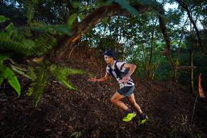 BIB: 
                            <button type="button" onclick="openModal(21866235)" class="btn btn-primary btn-sm float-right btn-popup" data-toggle="modal" data-target=".modal-high-quality">
                        <i class="fas fa-shopping-cart"></i> Add to Cart
                    </button>
                                            <button type="button" onclick="isThisMe(21866235, true)" class="btn btn-success btn-sm float-right btn-popup btn-isme hidden" data-toggle="tooltip" data-placement="bottom" title="นี่คือรูปของคุณใช่ไหม คลิกที่นี่เพื่อเอาเข้าอัลบั้ม">
                        <i class="fas fa-plus"></i> Add to album
                    </button>
                    <button type="button" onclick="isThisMe(21866235, false)" class="btn btn-warning btn-sm float-right btn-popup btn-isnotme hidden">
                        <i class="fas fa-ban"></i> Remove from album
                    </button>