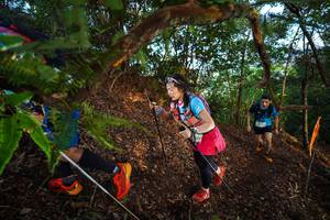 BIB: 
                            <button type="button" onclick="openModal(21877392)" class="btn btn-primary btn-sm float-right btn-popup" data-toggle="modal" data-target=".modal-high-quality">
                        <i class="fas fa-shopping-cart"></i> Add to Cart
                    </button>
                                            <button type="button" onclick="isThisMe(21877392, true)" class="btn btn-success btn-sm float-right btn-popup btn-isme hidden" data-toggle="tooltip" data-placement="bottom" title="นี่คือรูปของคุณใช่ไหม คลิกที่นี่เพื่อเอาเข้าอัลบั้ม">
                        <i class="fas fa-plus"></i> Add to album
                    </button>
                    <button type="button" onclick="isThisMe(21877392, false)" class="btn btn-warning btn-sm float-right btn-popup btn-isnotme hidden">
                        <i class="fas fa-ban"></i> Remove from album
                    </button>