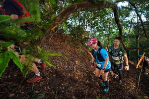 BIB: 
                            <button type="button" onclick="openModal(21879264)" class="btn btn-primary btn-sm float-right btn-popup" data-toggle="modal" data-target=".modal-high-quality">
                        <i class="fas fa-shopping-cart"></i> Add to Cart
                    </button>
                                            <button type="button" onclick="isThisMe(21879264, true)" class="btn btn-success btn-sm float-right btn-popup btn-isme hidden" data-toggle="tooltip" data-placement="bottom" title="นี่คือรูปของคุณใช่ไหม คลิกที่นี่เพื่อเอาเข้าอัลบั้ม">
                        <i class="fas fa-plus"></i> Add to album
                    </button>
                    <button type="button" onclick="isThisMe(21879264, false)" class="btn btn-warning btn-sm float-right btn-popup btn-isnotme hidden">
                        <i class="fas fa-ban"></i> Remove from album
                    </button>