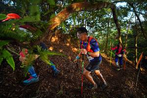 BIB: 174230
                            <button type="button" onclick="openModal(21870636)" class="btn btn-primary btn-sm float-right btn-popup" data-toggle="modal" data-target=".modal-high-quality">
                        <i class="fas fa-shopping-cart"></i> Add to Cart
                    </button>
                                            <button type="button" onclick="isThisMe(21870636, true)" class="btn btn-success btn-sm float-right btn-popup btn-isme hidden" data-toggle="tooltip" data-placement="bottom" title="นี่คือรูปของคุณใช่ไหม คลิกที่นี่เพื่อเอาเข้าอัลบั้ม">
                        <i class="fas fa-plus"></i> Add to album
                    </button>
                    <button type="button" onclick="isThisMe(21870636, false)" class="btn btn-warning btn-sm float-right btn-popup btn-isnotme hidden">
                        <i class="fas fa-ban"></i> Remove from album
                    </button>