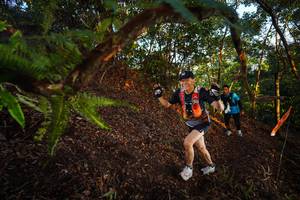 BIB: 
                            <button type="button" onclick="openModal(21865848)" class="btn btn-primary btn-sm float-right btn-popup" data-toggle="modal" data-target=".modal-high-quality">
                        <i class="fas fa-shopping-cart"></i> Add to Cart
                    </button>
                                            <button type="button" onclick="isThisMe(21865848, true)" class="btn btn-success btn-sm float-right btn-popup btn-isme hidden" data-toggle="tooltip" data-placement="bottom" title="นี่คือรูปของคุณใช่ไหม คลิกที่นี่เพื่อเอาเข้าอัลบั้ม">
                        <i class="fas fa-plus"></i> Add to album
                    </button>
                    <button type="button" onclick="isThisMe(21865848, false)" class="btn btn-warning btn-sm float-right btn-popup btn-isnotme hidden">
                        <i class="fas fa-ban"></i> Remove from album
                    </button>