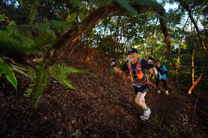 BIB: 
                            <button type="button" onclick="openModal(21865845)" class="btn btn-primary btn-sm float-right btn-popup" data-toggle="modal" data-target=".modal-high-quality">
                        <i class="fas fa-shopping-cart"></i> Add to Cart
                    </button>
                                            <button type="button" onclick="isThisMe(21865845, true)" class="btn btn-success btn-sm float-right btn-popup btn-isme hidden" data-toggle="tooltip" data-placement="bottom" title="นี่คือรูปของคุณใช่ไหม คลิกที่นี่เพื่อเอาเข้าอัลบั้ม">
                        <i class="fas fa-plus"></i> Add to album
                    </button>
                    <button type="button" onclick="isThisMe(21865845, false)" class="btn btn-warning btn-sm float-right btn-popup btn-isnotme hidden">
                        <i class="fas fa-ban"></i> Remove from album
                    </button>