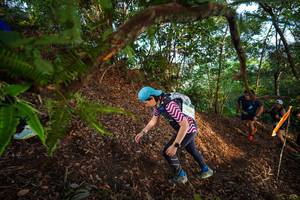 BIB: 
                            <button type="button" onclick="openModal(21879574)" class="btn btn-primary btn-sm float-right btn-popup" data-toggle="modal" data-target=".modal-high-quality">
                        <i class="fas fa-shopping-cart"></i> Add to Cart
                    </button>
                                            <button type="button" onclick="isThisMe(21879574, true)" class="btn btn-success btn-sm float-right btn-popup btn-isme hidden" data-toggle="tooltip" data-placement="bottom" title="นี่คือรูปของคุณใช่ไหม คลิกที่นี่เพื่อเอาเข้าอัลบั้ม">
                        <i class="fas fa-plus"></i> Add to album
                    </button>
                    <button type="button" onclick="isThisMe(21879574, false)" class="btn btn-warning btn-sm float-right btn-popup btn-isnotme hidden">
                        <i class="fas fa-ban"></i> Remove from album
                    </button>