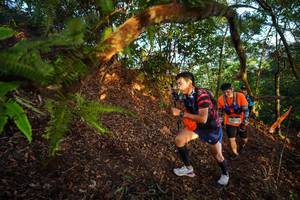 BIB: 
                            <button type="button" onclick="openModal(21869984)" class="btn btn-primary btn-sm float-right btn-popup" data-toggle="modal" data-target=".modal-high-quality">
                        <i class="fas fa-shopping-cart"></i> Add to Cart
                    </button>
                                            <button type="button" onclick="isThisMe(21869984, true)" class="btn btn-success btn-sm float-right btn-popup btn-isme hidden" data-toggle="tooltip" data-placement="bottom" title="นี่คือรูปของคุณใช่ไหม คลิกที่นี่เพื่อเอาเข้าอัลบั้ม">
                        <i class="fas fa-plus"></i> Add to album
                    </button>
                    <button type="button" onclick="isThisMe(21869984, false)" class="btn btn-warning btn-sm float-right btn-popup btn-isnotme hidden">
                        <i class="fas fa-ban"></i> Remove from album
                    </button>