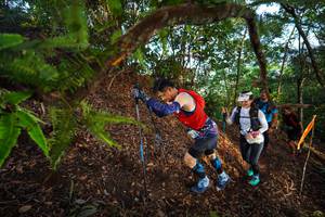 BIB: 
                            <button type="button" onclick="openModal(21878922)" class="btn btn-primary btn-sm float-right btn-popup" data-toggle="modal" data-target=".modal-high-quality">
                        <i class="fas fa-shopping-cart"></i> Add to Cart
                    </button>
                                            <button type="button" onclick="isThisMe(21878922, true)" class="btn btn-success btn-sm float-right btn-popup btn-isme hidden" data-toggle="tooltip" data-placement="bottom" title="นี่คือรูปของคุณใช่ไหม คลิกที่นี่เพื่อเอาเข้าอัลบั้ม">
                        <i class="fas fa-plus"></i> Add to album
                    </button>
                    <button type="button" onclick="isThisMe(21878922, false)" class="btn btn-warning btn-sm float-right btn-popup btn-isnotme hidden">
                        <i class="fas fa-ban"></i> Remove from album
                    </button>