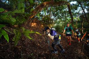 BIB: 
                            <button type="button" onclick="openModal(21871532)" class="btn btn-primary btn-sm float-right btn-popup" data-toggle="modal" data-target=".modal-high-quality">
                        <i class="fas fa-shopping-cart"></i> Add to Cart
                    </button>
                                            <button type="button" onclick="isThisMe(21871532, true)" class="btn btn-success btn-sm float-right btn-popup btn-isme hidden" data-toggle="tooltip" data-placement="bottom" title="นี่คือรูปของคุณใช่ไหม คลิกที่นี่เพื่อเอาเข้าอัลบั้ม">
                        <i class="fas fa-plus"></i> Add to album
                    </button>
                    <button type="button" onclick="isThisMe(21871532, false)" class="btn btn-warning btn-sm float-right btn-popup btn-isnotme hidden">
                        <i class="fas fa-ban"></i> Remove from album
                    </button>