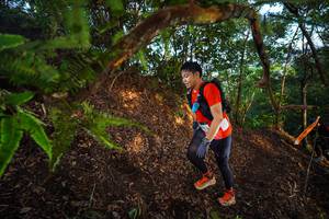 BIB: 
                            <button type="button" onclick="openModal(21873854)" class="btn btn-primary btn-sm float-right btn-popup" data-toggle="modal" data-target=".modal-high-quality">
                        <i class="fas fa-shopping-cart"></i> Add to Cart
                    </button>
                                            <button type="button" onclick="isThisMe(21873854, true)" class="btn btn-success btn-sm float-right btn-popup btn-isme hidden" data-toggle="tooltip" data-placement="bottom" title="นี่คือรูปของคุณใช่ไหม คลิกที่นี่เพื่อเอาเข้าอัลบั้ม">
                        <i class="fas fa-plus"></i> Add to album
                    </button>
                    <button type="button" onclick="isThisMe(21873854, false)" class="btn btn-warning btn-sm float-right btn-popup btn-isnotme hidden">
                        <i class="fas fa-ban"></i> Remove from album
                    </button>