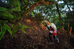 BIB: 1993
                            <button type="button" onclick="openModal(21872576)" class="btn btn-primary btn-sm float-right btn-popup" data-toggle="modal" data-target=".modal-high-quality">
                        <i class="fas fa-shopping-cart"></i> Add to Cart
                    </button>
                                            <button type="button" onclick="isThisMe(21872576, true)" class="btn btn-success btn-sm float-right btn-popup btn-isme hidden" data-toggle="tooltip" data-placement="bottom" title="นี่คือรูปของคุณใช่ไหม คลิกที่นี่เพื่อเอาเข้าอัลบั้ม">
                        <i class="fas fa-plus"></i> Add to album
                    </button>
                    <button type="button" onclick="isThisMe(21872576, false)" class="btn btn-warning btn-sm float-right btn-popup btn-isnotme hidden">
                        <i class="fas fa-ban"></i> Remove from album
                    </button>