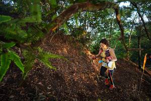 BIB: 
                            <button type="button" onclick="openModal(21873367)" class="btn btn-primary btn-sm float-right btn-popup" data-toggle="modal" data-target=".modal-high-quality">
                        <i class="fas fa-shopping-cart"></i> Add to Cart
                    </button>
                                            <button type="button" onclick="isThisMe(21873367, true)" class="btn btn-success btn-sm float-right btn-popup btn-isme hidden" data-toggle="tooltip" data-placement="bottom" title="นี่คือรูปของคุณใช่ไหม คลิกที่นี่เพื่อเอาเข้าอัลบั้ม">
                        <i class="fas fa-plus"></i> Add to album
                    </button>
                    <button type="button" onclick="isThisMe(21873367, false)" class="btn btn-warning btn-sm float-right btn-popup btn-isnotme hidden">
                        <i class="fas fa-ban"></i> Remove from album
                    </button>