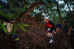 BIB: 
                            <button type="button" onclick="openModal(21866393)" class="btn btn-primary btn-sm float-right btn-popup" data-toggle="modal" data-target=".modal-high-quality">
                        <i class="fas fa-shopping-cart"></i> Add to Cart
                    </button>
                                            <button type="button" onclick="isThisMe(21866393, true)" class="btn btn-success btn-sm float-right btn-popup btn-isme hidden" data-toggle="tooltip" data-placement="bottom" title="นี่คือรูปของคุณใช่ไหม คลิกที่นี่เพื่อเอาเข้าอัลบั้ม">
                        <i class="fas fa-plus"></i> Add to album
                    </button>
                    <button type="button" onclick="isThisMe(21866393, false)" class="btn btn-warning btn-sm float-right btn-popup btn-isnotme hidden">
                        <i class="fas fa-ban"></i> Remove from album
                    </button>