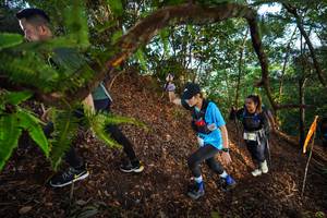 BIB: 
                            <button type="button" onclick="openModal(21879425)" class="btn btn-primary btn-sm float-right btn-popup" data-toggle="modal" data-target=".modal-high-quality">
                        <i class="fas fa-shopping-cart"></i> Add to Cart
                    </button>
                                            <button type="button" onclick="isThisMe(21879425, true)" class="btn btn-success btn-sm float-right btn-popup btn-isme hidden" data-toggle="tooltip" data-placement="bottom" title="นี่คือรูปของคุณใช่ไหม คลิกที่นี่เพื่อเอาเข้าอัลบั้ม">
                        <i class="fas fa-plus"></i> Add to album
                    </button>
                    <button type="button" onclick="isThisMe(21879425, false)" class="btn btn-warning btn-sm float-right btn-popup btn-isnotme hidden">
                        <i class="fas fa-ban"></i> Remove from album
                    </button>