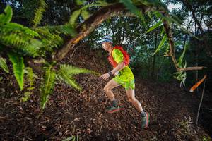 BIB: 
                            <button type="button" onclick="openModal(21864697)" class="btn btn-primary btn-sm float-right btn-popup" data-toggle="modal" data-target=".modal-high-quality">
                        <i class="fas fa-shopping-cart"></i> Add to Cart
                    </button>
                                            <button type="button" onclick="isThisMe(21864697, true)" class="btn btn-success btn-sm float-right btn-popup btn-isme hidden" data-toggle="tooltip" data-placement="bottom" title="นี่คือรูปของคุณใช่ไหม คลิกที่นี่เพื่อเอาเข้าอัลบั้ม">
                        <i class="fas fa-plus"></i> Add to album
                    </button>
                    <button type="button" onclick="isThisMe(21864697, false)" class="btn btn-warning btn-sm float-right btn-popup btn-isnotme hidden">
                        <i class="fas fa-ban"></i> Remove from album
                    </button>