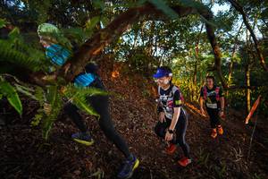 BIB: 
                            <button type="button" onclick="openModal(21865811)" class="btn btn-primary btn-sm float-right btn-popup" data-toggle="modal" data-target=".modal-high-quality">
                        <i class="fas fa-shopping-cart"></i> Add to Cart
                    </button>
                                            <button type="button" onclick="isThisMe(21865811, true)" class="btn btn-success btn-sm float-right btn-popup btn-isme hidden" data-toggle="tooltip" data-placement="bottom" title="นี่คือรูปของคุณใช่ไหม คลิกที่นี่เพื่อเอาเข้าอัลบั้ม">
                        <i class="fas fa-plus"></i> Add to album
                    </button>
                    <button type="button" onclick="isThisMe(21865811, false)" class="btn btn-warning btn-sm float-right btn-popup btn-isnotme hidden">
                        <i class="fas fa-ban"></i> Remove from album
                    </button>