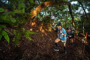 BIB: 
                            <button type="button" onclick="openModal(21870470)" class="btn btn-primary btn-sm float-right btn-popup" data-toggle="modal" data-target=".modal-high-quality">
                        <i class="fas fa-shopping-cart"></i> Add to Cart
                    </button>
                                            <button type="button" onclick="isThisMe(21870470, true)" class="btn btn-success btn-sm float-right btn-popup btn-isme hidden" data-toggle="tooltip" data-placement="bottom" title="นี่คือรูปของคุณใช่ไหม คลิกที่นี่เพื่อเอาเข้าอัลบั้ม">
                        <i class="fas fa-plus"></i> Add to album
                    </button>
                    <button type="button" onclick="isThisMe(21870470, false)" class="btn btn-warning btn-sm float-right btn-popup btn-isnotme hidden">
                        <i class="fas fa-ban"></i> Remove from album
                    </button>