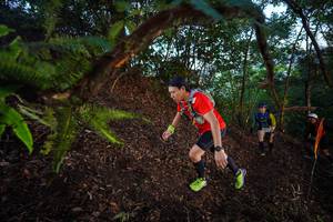 BIB: 
                            <button type="button" onclick="openModal(21866375)" class="btn btn-primary btn-sm float-right btn-popup" data-toggle="modal" data-target=".modal-high-quality">
                        <i class="fas fa-shopping-cart"></i> Add to Cart
                    </button>
                                            <button type="button" onclick="isThisMe(21866375, true)" class="btn btn-success btn-sm float-right btn-popup btn-isme hidden" data-toggle="tooltip" data-placement="bottom" title="นี่คือรูปของคุณใช่ไหม คลิกที่นี่เพื่อเอาเข้าอัลบั้ม">
                        <i class="fas fa-plus"></i> Add to album
                    </button>
                    <button type="button" onclick="isThisMe(21866375, false)" class="btn btn-warning btn-sm float-right btn-popup btn-isnotme hidden">
                        <i class="fas fa-ban"></i> Remove from album
                    </button>