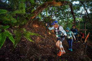 BIB: 
                            <button type="button" onclick="openModal(21872962)" class="btn btn-primary btn-sm float-right btn-popup" data-toggle="modal" data-target=".modal-high-quality">
                        <i class="fas fa-shopping-cart"></i> Add to Cart
                    </button>
                                            <button type="button" onclick="isThisMe(21872962, true)" class="btn btn-success btn-sm float-right btn-popup btn-isme hidden" data-toggle="tooltip" data-placement="bottom" title="นี่คือรูปของคุณใช่ไหม คลิกที่นี่เพื่อเอาเข้าอัลบั้ม">
                        <i class="fas fa-plus"></i> Add to album
                    </button>
                    <button type="button" onclick="isThisMe(21872962, false)" class="btn btn-warning btn-sm float-right btn-popup btn-isnotme hidden">
                        <i class="fas fa-ban"></i> Remove from album
                    </button>