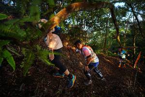 BIB: 
                            <button type="button" onclick="openModal(21870342)" class="btn btn-primary btn-sm float-right btn-popup" data-toggle="modal" data-target=".modal-high-quality">
                        <i class="fas fa-shopping-cart"></i> Add to Cart
                    </button>
                                            <button type="button" onclick="isThisMe(21870342, true)" class="btn btn-success btn-sm float-right btn-popup btn-isme hidden" data-toggle="tooltip" data-placement="bottom" title="นี่คือรูปของคุณใช่ไหม คลิกที่นี่เพื่อเอาเข้าอัลบั้ม">
                        <i class="fas fa-plus"></i> Add to album
                    </button>
                    <button type="button" onclick="isThisMe(21870342, false)" class="btn btn-warning btn-sm float-right btn-popup btn-isnotme hidden">
                        <i class="fas fa-ban"></i> Remove from album
                    </button>