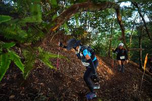 BIB: 
                            <button type="button" onclick="openModal(21873616)" class="btn btn-primary btn-sm float-right btn-popup" data-toggle="modal" data-target=".modal-high-quality">
                        <i class="fas fa-shopping-cart"></i> Add to Cart
                    </button>
                                            <button type="button" onclick="isThisMe(21873616, true)" class="btn btn-success btn-sm float-right btn-popup btn-isme hidden" data-toggle="tooltip" data-placement="bottom" title="นี่คือรูปของคุณใช่ไหม คลิกที่นี่เพื่อเอาเข้าอัลบั้ม">
                        <i class="fas fa-plus"></i> Add to album
                    </button>
                    <button type="button" onclick="isThisMe(21873616, false)" class="btn btn-warning btn-sm float-right btn-popup btn-isnotme hidden">
                        <i class="fas fa-ban"></i> Remove from album
                    </button>