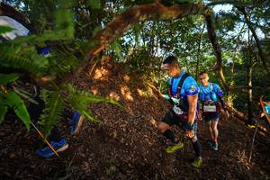 BIB: 13365
                            <button type="button" onclick="openModal(21871036)" class="btn btn-primary btn-sm float-right btn-popup" data-toggle="modal" data-target=".modal-high-quality">
                        <i class="fas fa-shopping-cart"></i> Add to Cart
                    </button>
                                            <button type="button" onclick="isThisMe(21871036, true)" class="btn btn-success btn-sm float-right btn-popup btn-isme hidden" data-toggle="tooltip" data-placement="bottom" title="นี่คือรูปของคุณใช่ไหม คลิกที่นี่เพื่อเอาเข้าอัลบั้ม">
                        <i class="fas fa-plus"></i> Add to album
                    </button>
                    <button type="button" onclick="isThisMe(21871036, false)" class="btn btn-warning btn-sm float-right btn-popup btn-isnotme hidden">
                        <i class="fas fa-ban"></i> Remove from album
                    </button>