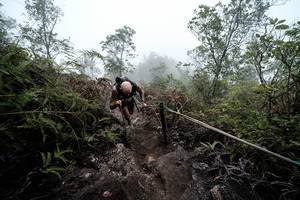 BIB: 
                            <button type="button" onclick="openModal(24893407)" class="btn btn-primary btn-sm float-right btn-popup" data-toggle="modal" data-target=".modal-high-quality">
                        <i class="fas fa-shopping-cart"></i> Add to Cart
                    </button>
                                            <button type="button" onclick="isThisMe(24893407, true)" class="btn btn-success btn-sm float-right btn-popup btn-isme hidden" data-toggle="tooltip" data-placement="bottom" title="นี่คือรูปของคุณใช่ไหม คลิกที่นี่เพื่อเอาเข้าอัลบั้ม">
                        <i class="fas fa-plus"></i> Add to album
                    </button>
                    <button type="button" onclick="isThisMe(24893407, false)" class="btn btn-warning btn-sm float-right btn-popup btn-isnotme hidden">
                        <i class="fas fa-ban"></i> Remove from album
                    </button>