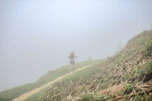 BIB: 
                            <button type="button" onclick="openModal(24893368)" class="btn btn-primary btn-sm float-right btn-popup" data-toggle="modal" data-target=".modal-high-quality">
                        <i class="fas fa-shopping-cart"></i> Add to Cart
                    </button>
                                            <button type="button" onclick="isThisMe(24893368, true)" class="btn btn-success btn-sm float-right btn-popup btn-isme hidden" data-toggle="tooltip" data-placement="bottom" title="นี่คือรูปของคุณใช่ไหม คลิกที่นี่เพื่อเอาเข้าอัลบั้ม">
                        <i class="fas fa-plus"></i> Add to album
                    </button>
                    <button type="button" onclick="isThisMe(24893368, false)" class="btn btn-warning btn-sm float-right btn-popup btn-isnotme hidden">
                        <i class="fas fa-ban"></i> Remove from album
                    </button>