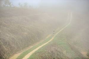 BIB: 
                            <button type="button" onclick="openModal(24893377)" class="btn btn-primary btn-sm float-right btn-popup" data-toggle="modal" data-target=".modal-high-quality">
                        <i class="fas fa-shopping-cart"></i> Add to Cart
                    </button>
                                            <button type="button" onclick="isThisMe(24893377, true)" class="btn btn-success btn-sm float-right btn-popup btn-isme hidden" data-toggle="tooltip" data-placement="bottom" title="นี่คือรูปของคุณใช่ไหม คลิกที่นี่เพื่อเอาเข้าอัลบั้ม">
                        <i class="fas fa-plus"></i> Add to album
                    </button>
                    <button type="button" onclick="isThisMe(24893377, false)" class="btn btn-warning btn-sm float-right btn-popup btn-isnotme hidden">
                        <i class="fas fa-ban"></i> Remove from album
                    </button>