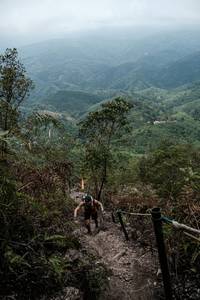 BIB: 
                            <button type="button" onclick="openModal(24893305)" class="btn btn-primary btn-sm float-right btn-popup" data-toggle="modal" data-target=".modal-high-quality">
                        <i class="fas fa-shopping-cart"></i> Add to Cart
                    </button>
                                            <button type="button" onclick="isThisMe(24893305, true)" class="btn btn-success btn-sm float-right btn-popup btn-isme hidden" data-toggle="tooltip" data-placement="bottom" title="นี่คือรูปของคุณใช่ไหม คลิกที่นี่เพื่อเอาเข้าอัลบั้ม">
                        <i class="fas fa-plus"></i> Add to album
                    </button>
                    <button type="button" onclick="isThisMe(24893305, false)" class="btn btn-warning btn-sm float-right btn-popup btn-isnotme hidden">
                        <i class="fas fa-ban"></i> Remove from album
                    </button>