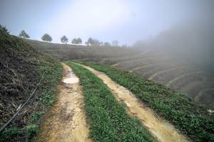 BIB: 
                            <button type="button" onclick="openModal(24893382)" class="btn btn-primary btn-sm float-right btn-popup" data-toggle="modal" data-target=".modal-high-quality">
                        <i class="fas fa-shopping-cart"></i> Add to Cart
                    </button>
                                            <button type="button" onclick="isThisMe(24893382, true)" class="btn btn-success btn-sm float-right btn-popup btn-isme hidden" data-toggle="tooltip" data-placement="bottom" title="นี่คือรูปของคุณใช่ไหม คลิกที่นี่เพื่อเอาเข้าอัลบั้ม">
                        <i class="fas fa-plus"></i> Add to album
                    </button>
                    <button type="button" onclick="isThisMe(24893382, false)" class="btn btn-warning btn-sm float-right btn-popup btn-isnotme hidden">
                        <i class="fas fa-ban"></i> Remove from album
                    </button>