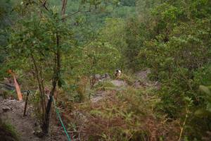 BIB: 
                            <button type="button" onclick="openModal(24893311)" class="btn btn-primary btn-sm float-right btn-popup" data-toggle="modal" data-target=".modal-high-quality">
                        <i class="fas fa-shopping-cart"></i> Add to Cart
                    </button>
                                            <button type="button" onclick="isThisMe(24893311, true)" class="btn btn-success btn-sm float-right btn-popup btn-isme hidden" data-toggle="tooltip" data-placement="bottom" title="นี่คือรูปของคุณใช่ไหม คลิกที่นี่เพื่อเอาเข้าอัลบั้ม">
                        <i class="fas fa-plus"></i> Add to album
                    </button>
                    <button type="button" onclick="isThisMe(24893311, false)" class="btn btn-warning btn-sm float-right btn-popup btn-isnotme hidden">
                        <i class="fas fa-ban"></i> Remove from album
                    </button>