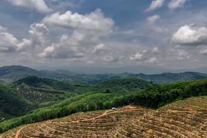 BIB: 
                            <button type="button" onclick="openModal(24893246)" class="btn btn-primary btn-sm float-right btn-popup" data-toggle="modal" data-target=".modal-high-quality">
                        <i class="fas fa-shopping-cart"></i> Add to Cart
                    </button>
                                            <button type="button" onclick="isThisMe(24893246, true)" class="btn btn-success btn-sm float-right btn-popup btn-isme hidden" data-toggle="tooltip" data-placement="bottom" title="นี่คือรูปของคุณใช่ไหม คลิกที่นี่เพื่อเอาเข้าอัลบั้ม">
                        <i class="fas fa-plus"></i> Add to album
                    </button>
                    <button type="button" onclick="isThisMe(24893246, false)" class="btn btn-warning btn-sm float-right btn-popup btn-isnotme hidden">
                        <i class="fas fa-ban"></i> Remove from album
                    </button>