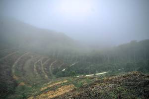 BIB: 
                            <button type="button" onclick="openModal(24893380)" class="btn btn-primary btn-sm float-right btn-popup" data-toggle="modal" data-target=".modal-high-quality">
                        <i class="fas fa-shopping-cart"></i> Add to Cart
                    </button>
                                            <button type="button" onclick="isThisMe(24893380, true)" class="btn btn-success btn-sm float-right btn-popup btn-isme hidden" data-toggle="tooltip" data-placement="bottom" title="นี่คือรูปของคุณใช่ไหม คลิกที่นี่เพื่อเอาเข้าอัลบั้ม">
                        <i class="fas fa-plus"></i> Add to album
                    </button>
                    <button type="button" onclick="isThisMe(24893380, false)" class="btn btn-warning btn-sm float-right btn-popup btn-isnotme hidden">
                        <i class="fas fa-ban"></i> Remove from album
                    </button>