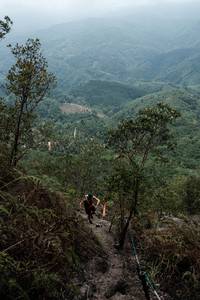 BIB: 
                            <button type="button" onclick="openModal(24893308)" class="btn btn-primary btn-sm float-right btn-popup" data-toggle="modal" data-target=".modal-high-quality">
                        <i class="fas fa-shopping-cart"></i> Add to Cart
                    </button>
                                            <button type="button" onclick="isThisMe(24893308, true)" class="btn btn-success btn-sm float-right btn-popup btn-isme hidden" data-toggle="tooltip" data-placement="bottom" title="นี่คือรูปของคุณใช่ไหม คลิกที่นี่เพื่อเอาเข้าอัลบั้ม">
                        <i class="fas fa-plus"></i> Add to album
                    </button>
                    <button type="button" onclick="isThisMe(24893308, false)" class="btn btn-warning btn-sm float-right btn-popup btn-isnotme hidden">
                        <i class="fas fa-ban"></i> Remove from album
                    </button>